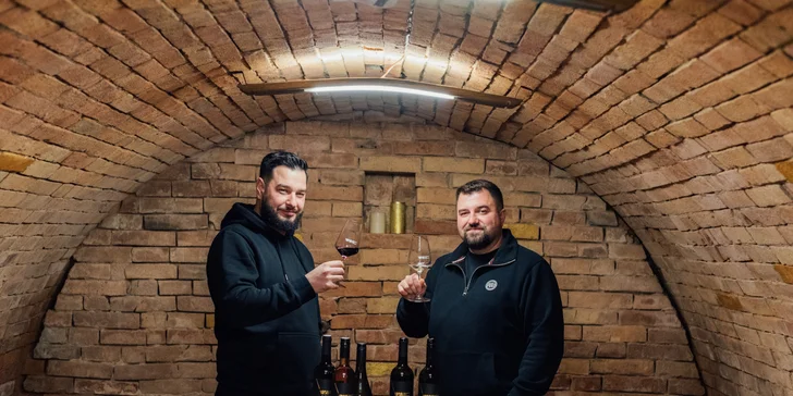 Pobyt ve vinařství ve Velkých Bílovicích i degustace vín: apartmán nebo celý penzion až pro 8 osob