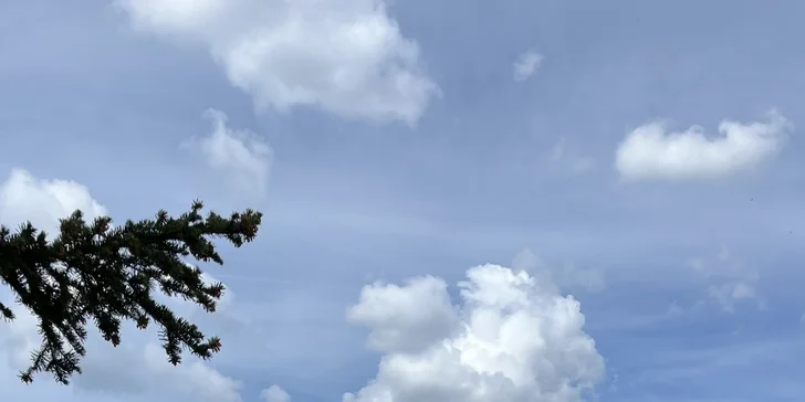 Adrenalin ve vzduchu: 1-6 jízd na zipline o délce 100 m vč. kávy