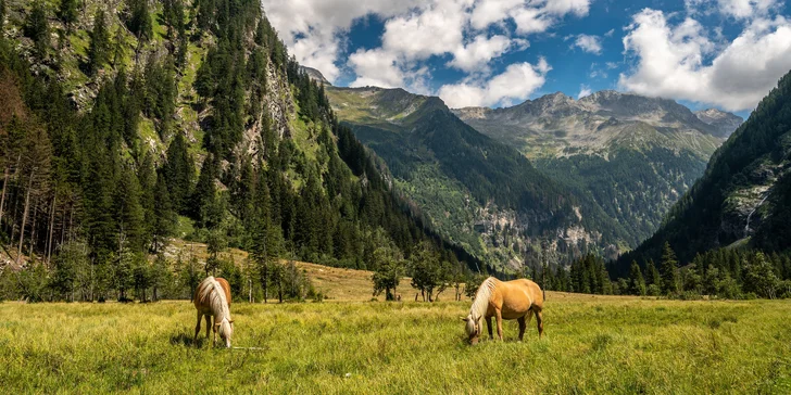 Pohodová dovolená v Korutanech: 3* hotel s polopenzí, wellness, výlety do hor i k jezeru