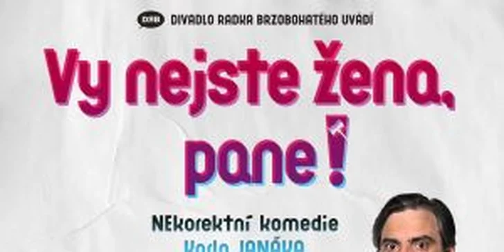 Dvě vstupenky na Vy nejste žena, pane! v Divadle Radka Brzobohatého