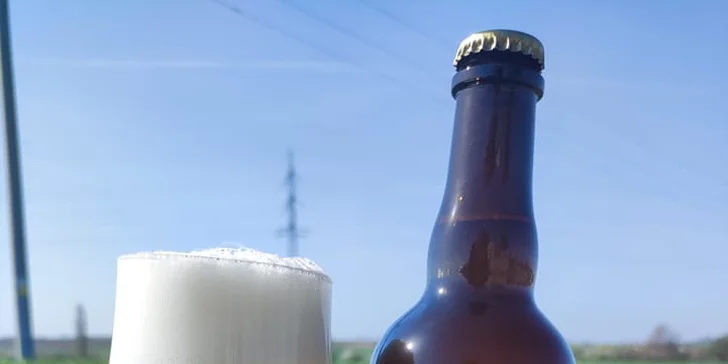 Na den sládkem v rodinném řemeslném pivovaru Beer Daddy až pro 4 osoby
