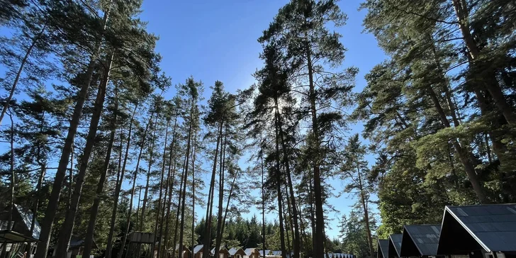 Klasický, rybářský nebo zaklínačský tábor: pro děti od 7 do 17 let, krásný areál v lese u Nežárky