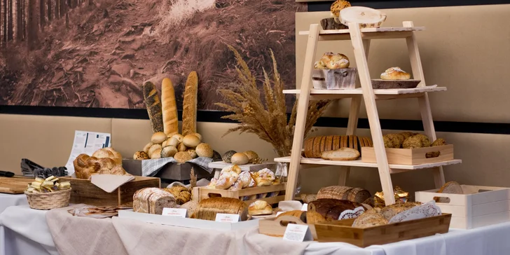 Dovolená v lázeňské městečku Ustroň: 4* hotel s wellness a snídaní