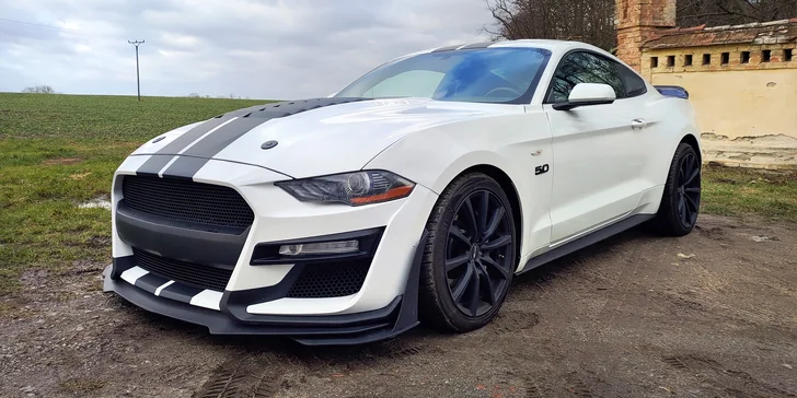 Ford Mustang Fastback GT 5.0 V8: spolujízda, řízení i pronájem