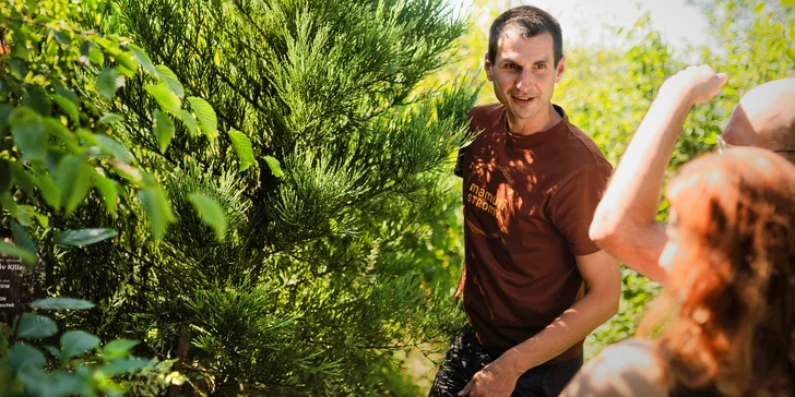 Komentovaná prohlídka sekvojového lesoparku: evropský unikát kousek od Brna
