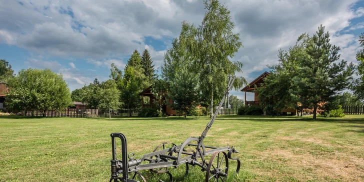 Apartmány u Jindřichova Hradce: koupací jezírko, posezení u ohniště,pestré vybavení na sport i hry