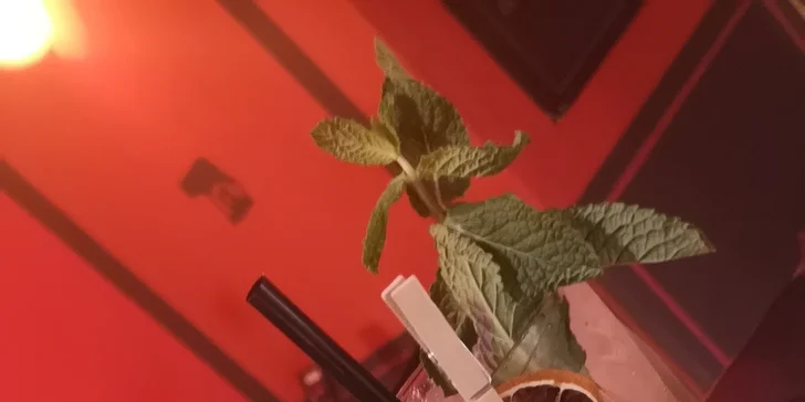 2 libovolné drinky dle výběru i vodní dýmka se světlým tabákem