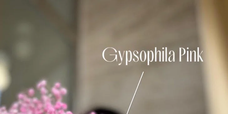 Voňavá radost: otevřený voucher na jakékoliv květiny ze Secret flowers
