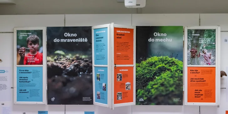 Výstava Okna do přírody plná aktivit pro děti: pozorování přírody i tvoření