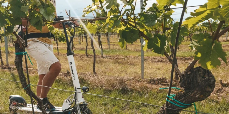 Pronájem jedné nebo čtyř elektrických koloběžek na celý den vč. nabíječky a helmy, dojezd 50 km