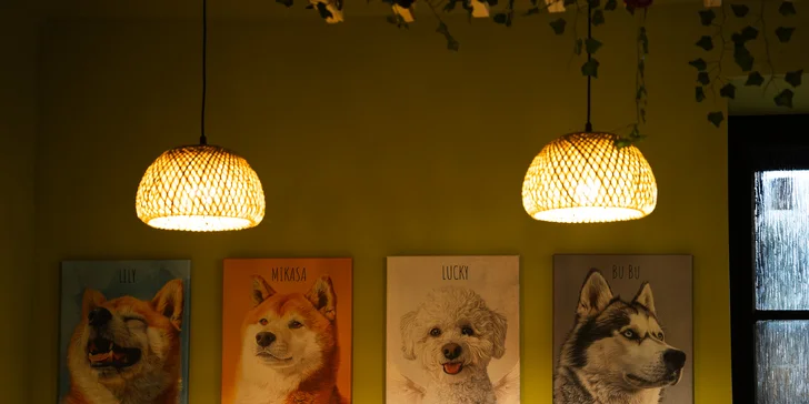 Vouchery na 300-1500 Kč do vegan asijské restaurace: sushi, bún chả, burgery i krásný zážitek
