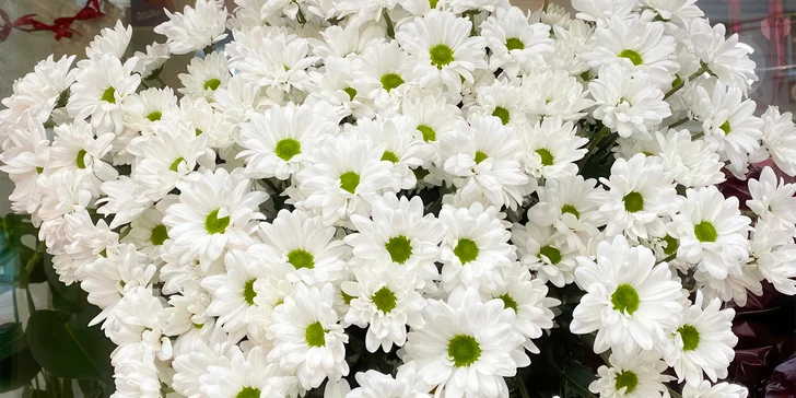 Voňavá radost: otevřený voucher na jakékoliv květiny ze Secret flowers