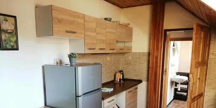 Vybavené apartmány u Hejnic v Jizerských horách až pro 8 osob, zahrada s potokem