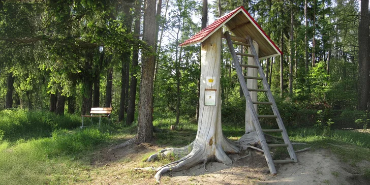 Cesta pohádkovým lesem s úkoly a odměnou i vstupenky na výstavu strašidel