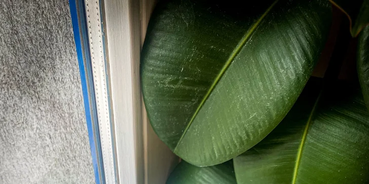 Sladká i slaná vafle, káva a dobrý skutek: kavárna podporující osoby s Alzheimerem i jejich rodiny