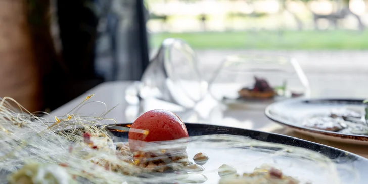 Degustační 11chodové menu pro dva: krevety, jehněčí maso, panenka i vinné párování