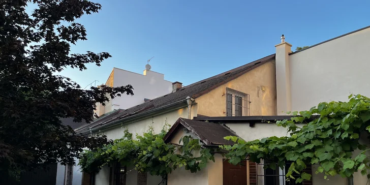 Keramický workshop dle výběru: hrníček, váza i květináč, kapacita 8-10 lidí, voucher pro jednoho