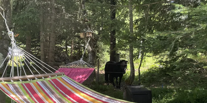 Aktivní dovolená v tyrolském údolí Pitztal: polopenze, neomezený wellness i karta slev