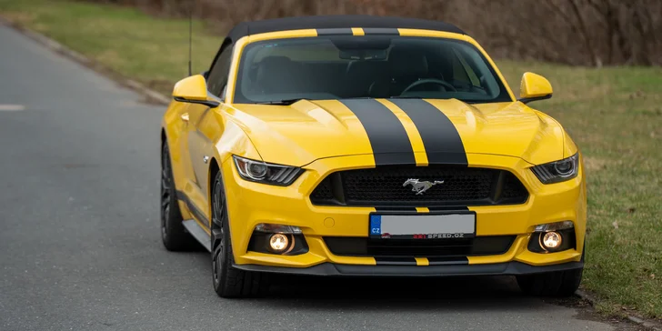 Léto může začít: Ford Mustang GT 5.0 V8 Cabrio 450 koní na 12 i 48 h