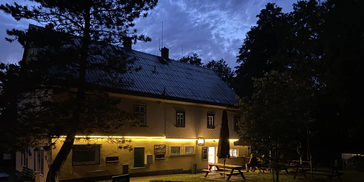 Smažák nebo kuřecí stripsy, hranolky i nápoje pro jednoho, dva či partu