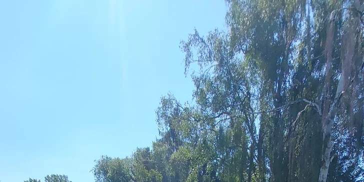 Vyjížďka na koni pro dospělé nebo na malém poníkovi pro děti