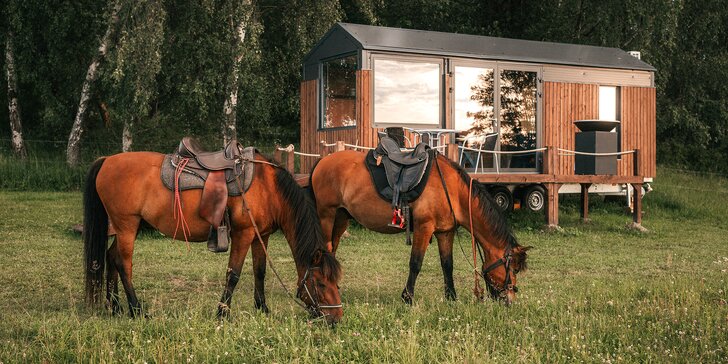 Tiny House Louis na Lipensku: skvělé vybavení včetně kuchyně a koupelny, překrásný výhled