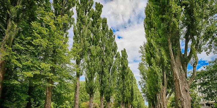 Lázeňský pobyt v Piešťanech s all inclusive stravou, léčebnou koupelí i bazény