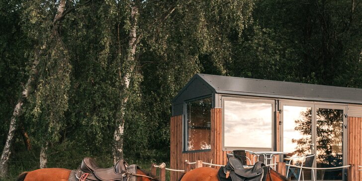 Tiny House Louis na Lipensku: skvělé vybavení včetně kuchyně a koupelny, překrásný výhled