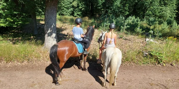 Vyjížďka na koni pro dospělé nebo na malém poníkovi pro děti