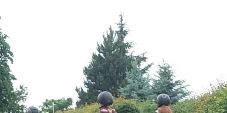 Vyjížďka na koni pro dospělé nebo na malém poníkovi pro děti
