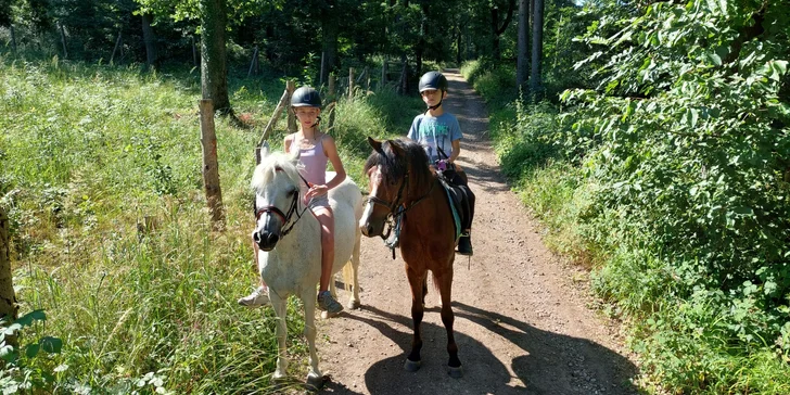 Vyjížďka na koni pro dospělé nebo na malém poníkovi pro děti