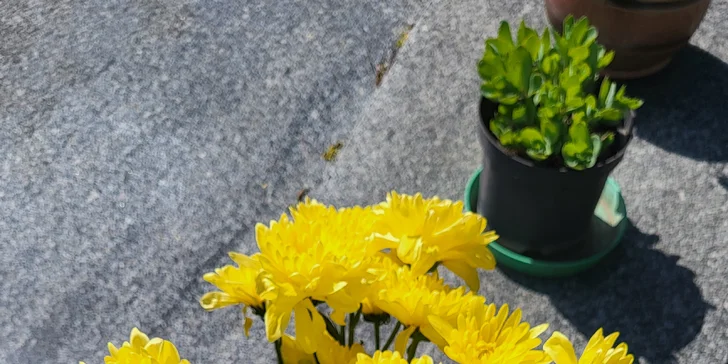 Důstojné místo posledního odpočinku: úklid jednou nebo dvakrát ročně