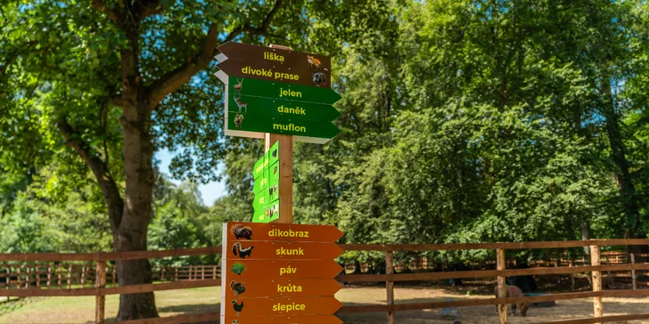 Zámecký Farmapark d'Este: vstup i atrakce pro jednotlivce či rodiny