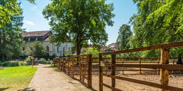 Zámecký Farmapark d'Este: vstup i atrakce pro jednotlivce či rodiny