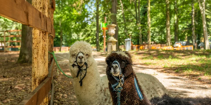 Zámecký Farmapark d'Este: vstup i atrakce pro jednotlivce či rodiny