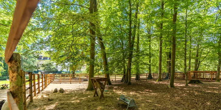Zámecký Farmapark d'Este: vstup i atrakce pro jednotlivce či rodiny