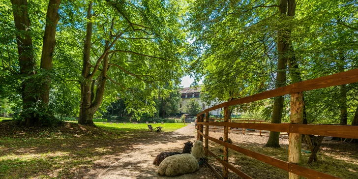 Zámecký Farmapark d'Este: vstup i atrakce pro jednotlivce či rodiny