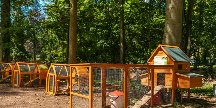 Zámecký Farmapark d'Este: vstup i atrakce pro jednotlivce či rodiny