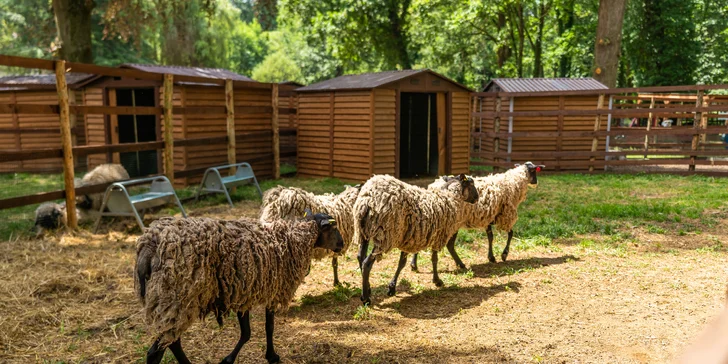 Zámecký Farmapark d'Este: vstup i atrakce pro jednotlivce či rodiny