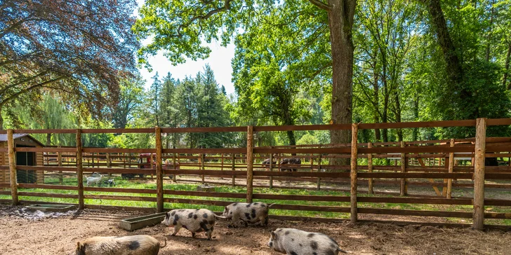 Zámecký Farmapark d'Este: vstup i atrakce pro jednotlivce či rodiny