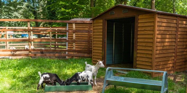 Zámecký Farmapark d'Este: vstup i atrakce pro jednotlivce či rodiny