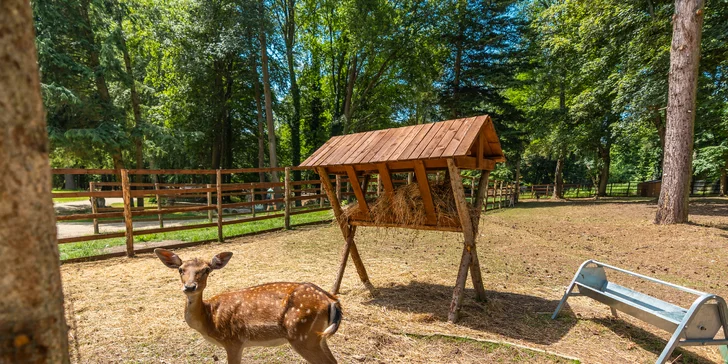 Zámecký Farmapark d'Este: vstup i atrakce pro jednotlivce či rodiny