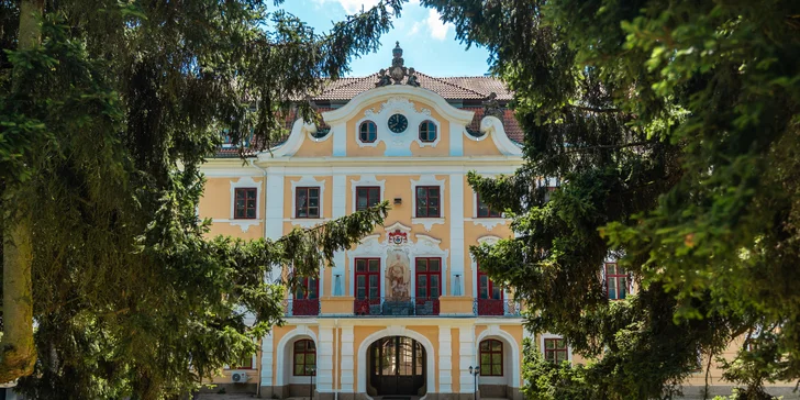 Zámecký Farmapark d'Este: vstup i atrakce pro jednotlivce či rodiny