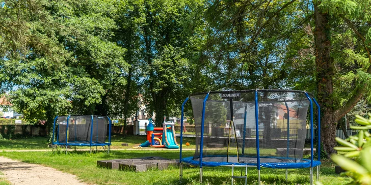 Zámecký Farmapark d'Este: vstup i atrakce pro jednotlivce či rodiny