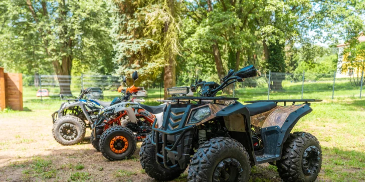 Zámecký Farmapark d'Este: vstup i atrakce pro jednotlivce či rodiny