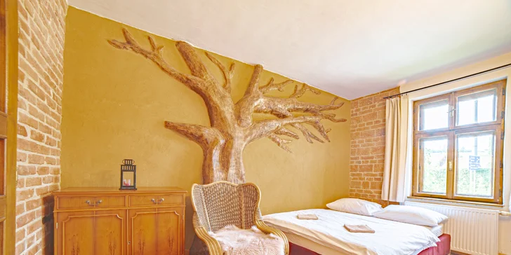 Apartmán nebo pokoj na farmě na západním Slovensku: zvířata, privátní wellness a snídaně