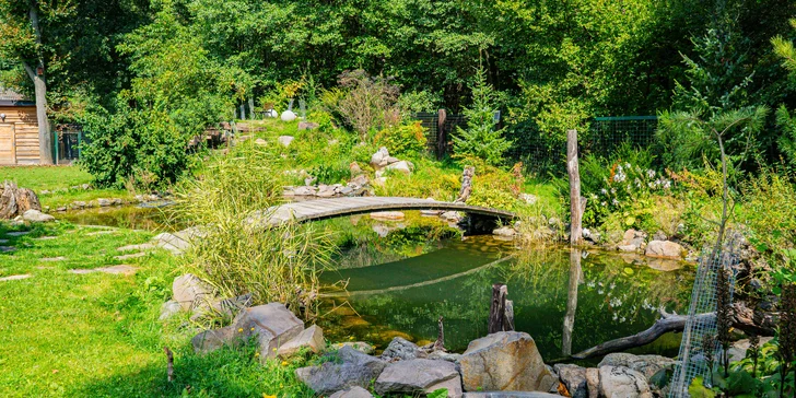 Apartmán nebo pokoj na farmě na západním Slovensku: zvířata, privátní wellness a snídaně