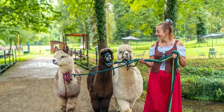 Zámecký Farmapark d'Este: vstup i atrakce pro jednotlivce či rodiny