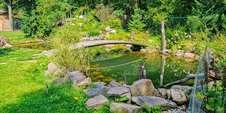Apartmán nebo pokoj na farmě na západním Slovensku: zvířata, privátní wellness a snídaně