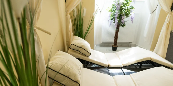Zámek d'Este u Třeboně: pobyt se snídaní nebo i privátním wellness a zámeckým farmaparkem